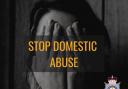 A free workshop on addressing domestic abuse in the workplace is taking place in the new year.
