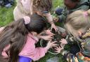 Pupils from Dogsthorpe Academy were happy to get their hands dirty.