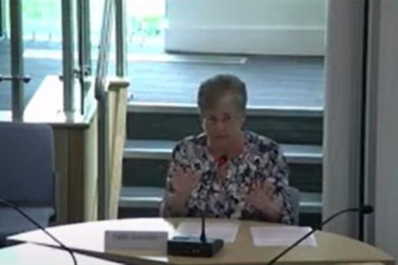 Peterborough Matters: Jean Jackson, who spoke to the Cambridgeshire and Peterborough Combined Authority about the incident. Peterborough Matters: Jean Jackson, who spoke to the Cambridgeshire and Peterborough Combined Authority about the incident.