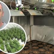 Bujar Gjeci, 44, of New Road, Woodston, Peterborough, has been jailed after he was  caught tending to cannabis plants with a street value of more than £150,000.