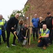 More than 1,000 trees and shrubs were planted.