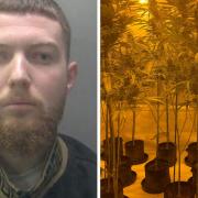 Marisol Bezati has been jailed after police uncovered a £170,000 cannabis factory at a house near Peterborough city centre.