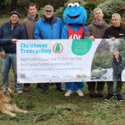 Hundreds of trees were collected through Sue Ryder Treecycling Peterborough thanks to the support of volunteers
