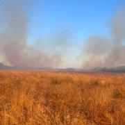 Fire crews were called to a blaze at Hampton Nature Reserve, near Peterborough