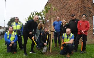 More than 1,000 trees and shrubs were planted.